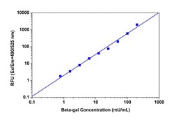 Abcam Beta Galactosidase Detection Kit (Fluorometric)