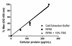 Abcam&nbsp;NF kappaB p65 ELISA Kit, 1 x 96 Tests