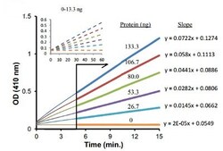 Abcam&nbsp;Alpha Glucosidase Activity Assay Kit (Colorimetric)