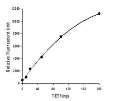 Abcam&nbsp;TET Hydroxylase Activity Quantification Kit (Fluorometric)
