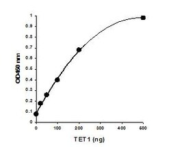 Abcam&nbsp;TET Hydroxylase Activity Quantification Kit (Colorimetric)