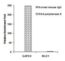 Abcam&nbsp;ChIP Kit Magnetic - One Step, 96 Tests