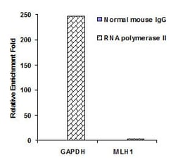 Abcam&nbsp;ChIP Kit Magnetic - One Step, 48 Tests