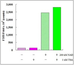 Abcam&nbsp;SIRT3 Activity Assay Kit (Fluorometric)