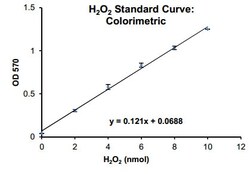 Abcam&nbsp;Peroxidase Activity Assay Kit