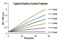 Abcam ALDH Activity Assay Kit (Colorimetric)