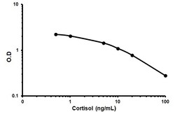 Abcam&nbsp;Cortisol ELISA Kit, 1 x 96 Tests