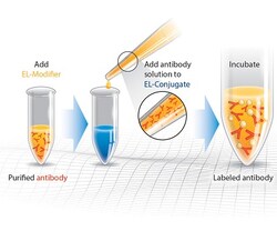 Abcam&nbsp;Gold Conjugation Kit (40nm, 20 OD), 10 x 1UG