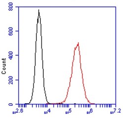 Abcam&nbsp;Alexa Fluor 488 Anti Nucleolin antibody [364 5]