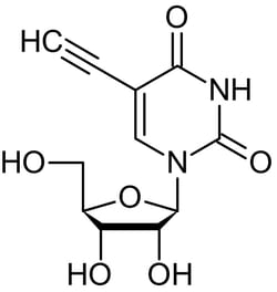 Abcam&nbsp;5-Ethynyluridine (5-EU), Uridine analog, 10MG
