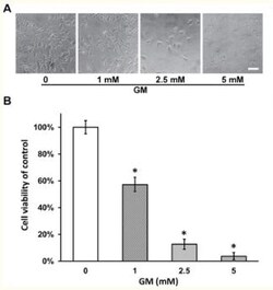Abcam&nbsp;Thiazolyl blue tetrazolium bromide (MTT), membrane-permeable dye, 5G