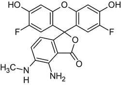 Abcam&nbsp;DAF-FM, Fluorescent probe for nitric o x ide quantification, 1MG