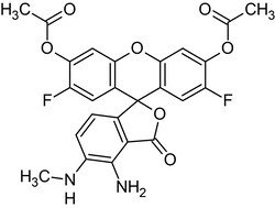 Abcam&nbsp;DAF-FM DA, Nitric o x ide quantification reagent, 1MG