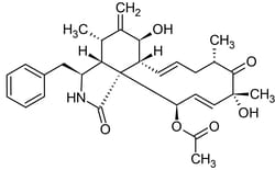 Abcam Cytochalasin D, actin polymerization inhibitor, 5MG