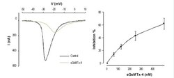 Abcam GsMT x -4, mechanosensitive and stretch-activated ion channel inhibitor, 100UG