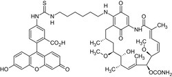 Abcam Geldanamycin-FITC, fluorescent labelled HSP90 inhibitor, 1MG