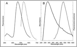 Abcam&nbsp;Aggresome Detection Kit