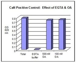 Abcam Cellular Calcineurin Phosphatase Activity Assay Kit (Colorimetric)