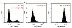 Abcam&nbsp;Propidium Iodide Flow Cytometry Kit