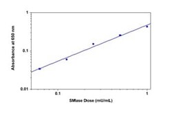 Abcam Sphingomyelinase Assay Kit (Colorimetric)