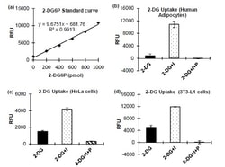 Abcam&nbsp;Glucose Uptake Assay Kit (Fluorometric)