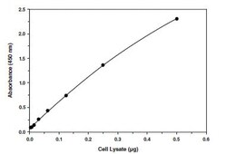 Abcam&nbsp;SREBP 1 Transcription Factor Assay Kit
