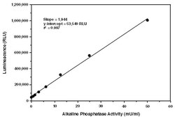 Abcam&nbsp;SEAP Reporter Gene Assay Kit (Luminescence)
