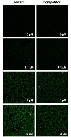 Abcam&nbsp;Fura-2 AM, Ca2+ selective fluorescent indicator, 10UNIT