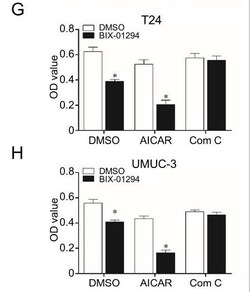 Abcam Dorsomorphin (Compound C), AMP-kinase inhibitor, 5MG