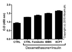Abcam IBM x , Non-specific cAMP and cGMP inhibitor, 1G