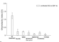 Abcam&nbsp;AMD3100 octahydrochloride, C x CR4 antagonist, 1MG