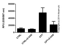 Abcam&nbsp;Z-VAD(OMe)-FMK, Cell permeable, irreversible pan-caspase inhibitor, 1MG