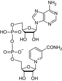 Abcam&nbsp;beta-Nicotinamide adenine dinucleotide (beta-NAD), P2Y11 agonist., 250MG