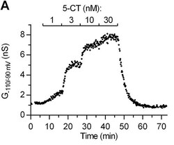 Abcam&nbsp;CGP 55845 hydrochloride, GABAB antagonist, 50MG