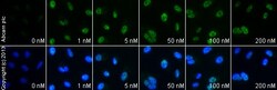 Abcam&nbsp;Thapsigargin, Ca2+-ATPase inhibitor, 1MG