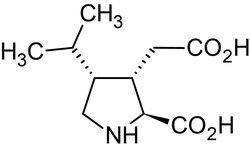 Abcam Dihydrokainic acid, EAAT2 (GLT-1) inhibitor, 1MG