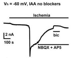 Abcam D-AP5, NMDA glutamate site antagonist, 1MG