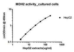 Abcam&nbsp;Malate Dehydrogenase 2 (MDH2) Activity Assay