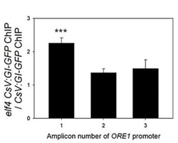 Abcam&nbsp;ChIP Kit - Plants, 24 Tests