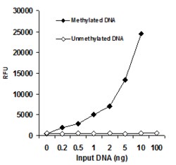 Abcam&nbsp;Methylated DNA Quantification Kit (Fluorometric)