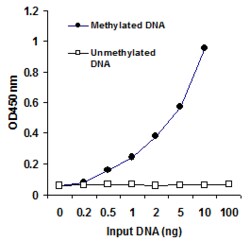 Abcam&nbsp;Methylated DNA Quantification Kit (Colorimetric)