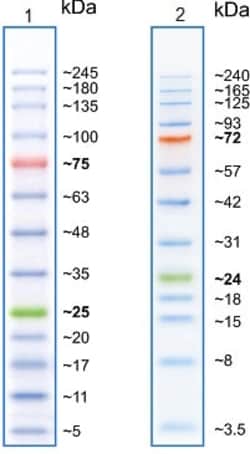 Abcam Prestained Protein Ladder - E x tra broad molecular weight (5 - 245 kDa), 500UL