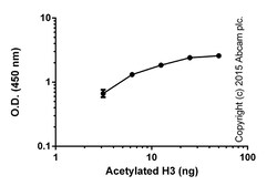 Abcam&nbsp;Histone H3 Total Acetylation Detection Fast Kit (Colorimetric)