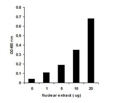 Abcam&nbsp;DNMT Activity Assay Kit (Colorimetric)