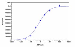 Abcam&nbsp;Calcium Assay Kit (Luminometric)