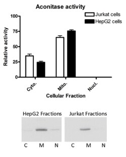 Abcam Aconitase Activity Assay Kit
