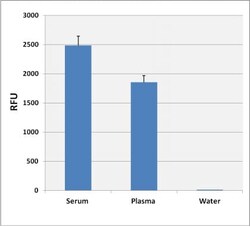 Abcam&nbsp;Lipid Assay Kit (neutral lipids)