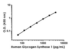 Abcam Human Glycogen Synthase 1 Antibody Pair - BSA and Azide free, 10 x 96 Tests