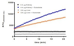 Abcam&nbsp;Deubiquitinase Assay Kit