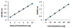 Abcam&nbsp;GSHGSSG  GSH Assay Kit (Colorimetric)